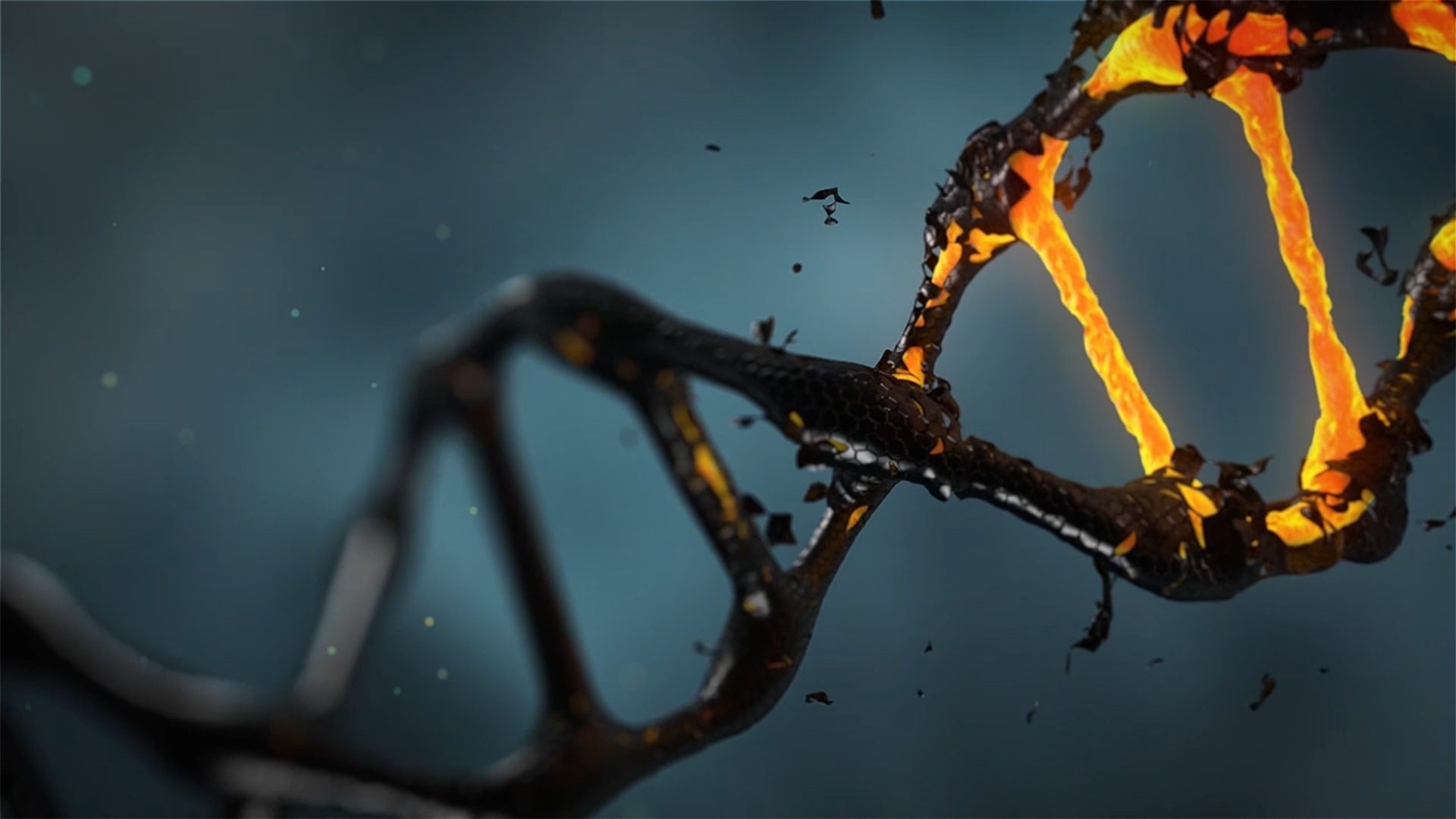 El Juicio de Paternidad y la prueba de ADN en materia de Genetica