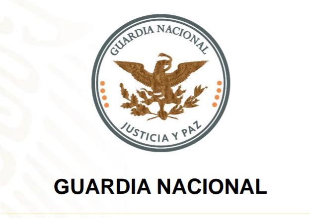 Consulta de pago de Infracciones de la Guardia Nacional y Policía Federal